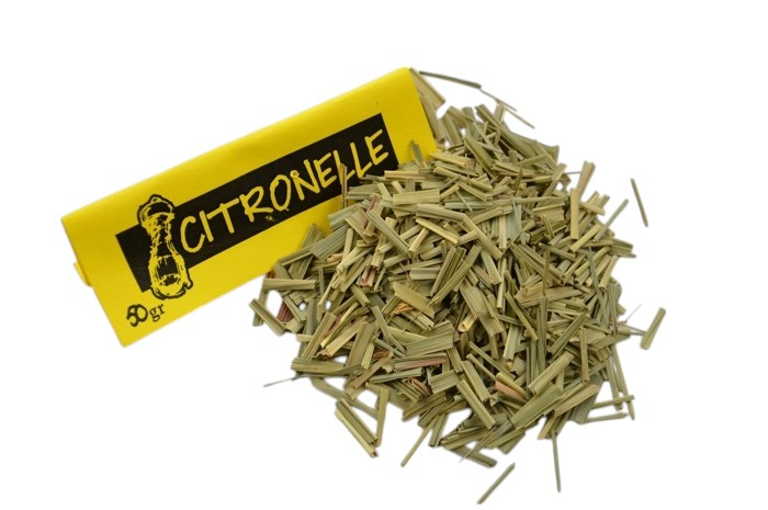 Citronelle Citronelle