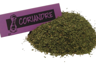Coriandre feuille