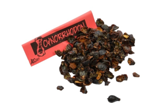Cynorrhodon (églantier)