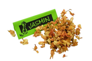 Jasmin