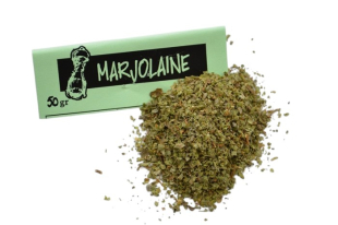 Marjolaine mondée