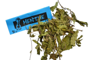 Menthe Verte