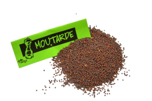 Moutarde noire graines