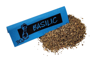 Basilic