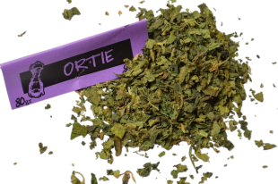 Ortie