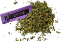 Ortie