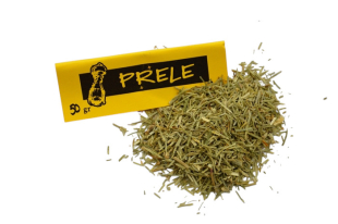 Prêle des champs