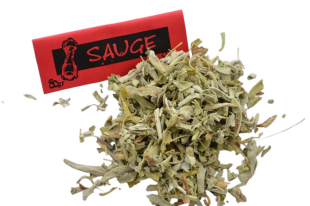 Sauge tisane