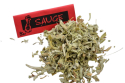 Sauge tisane