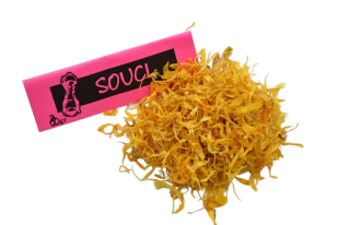 Souci