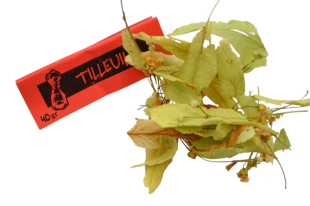 Tilleul