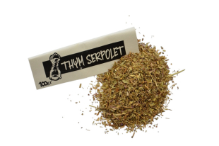 Thym serpolet