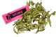 Verveine