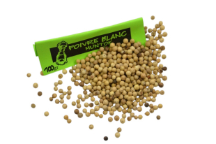 Poivre blanc grains