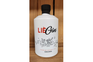 LieGin Original