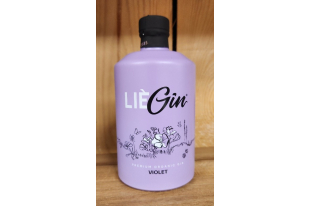 LieGin Original