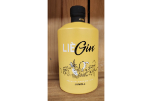 LieGin Original