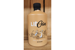 LieGin Original