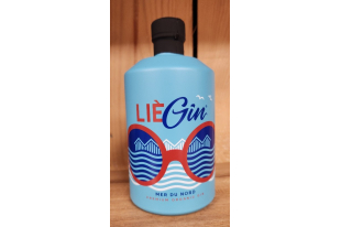 LieGin Original