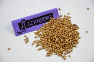 Coriandre grains