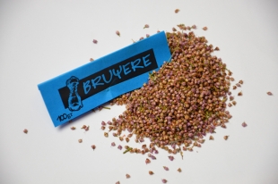 Bruyère