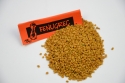 Fenugrec grains
