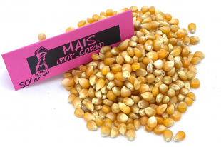 Maïs pop-corn